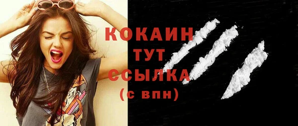 мдпв Елизово