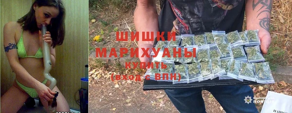 мдпв Елизово