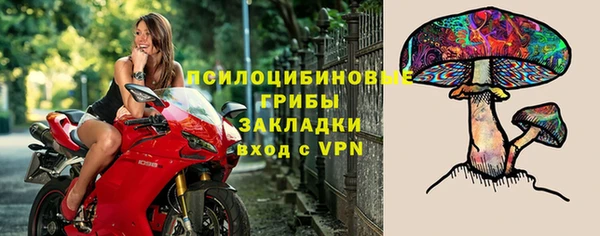 мдпв Елизово