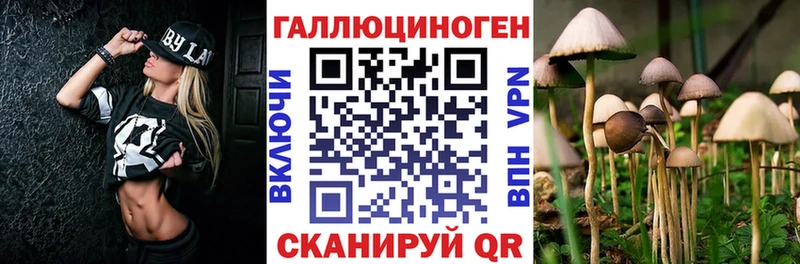 Купить где  Переславль-Залесский  Псилоцибиновые грибы Magic Shrooms 